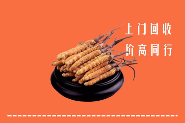 高价求购：龙里县回收散虫草