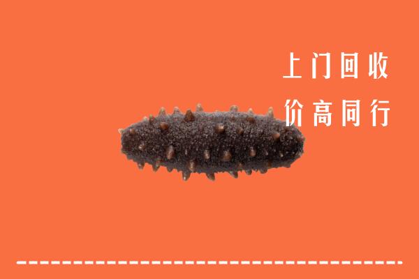 龙里县回收海参