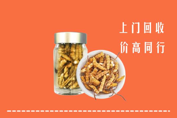 龙里县回收冬虫夏草